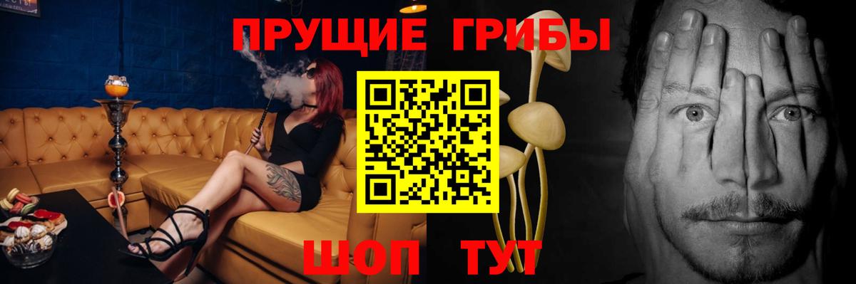 Псилоцибиновые грибы Magic Shrooms Донецк